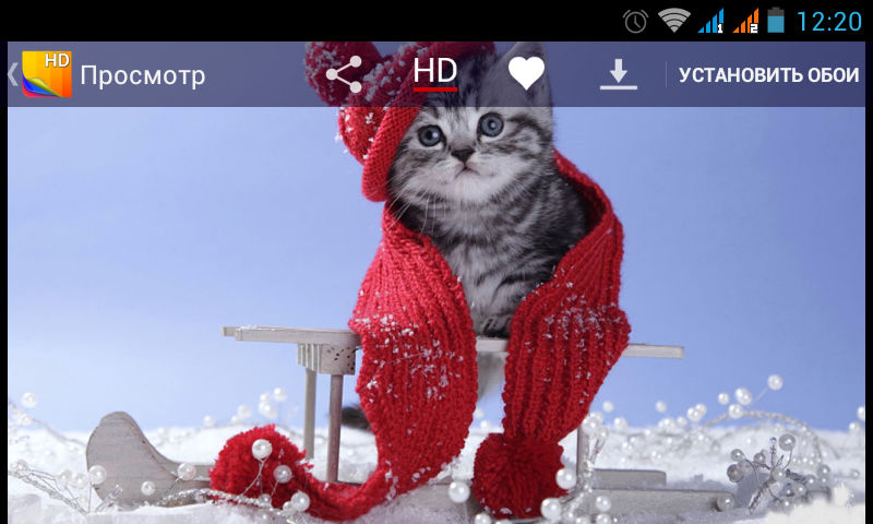 обои hd скачать красивые